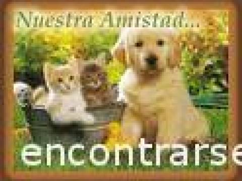 AMISTAD
