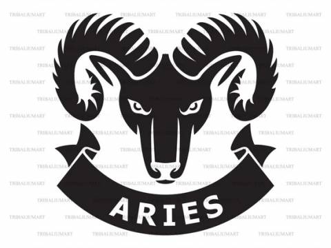 ARIES