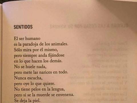Sentido y Sentimos
