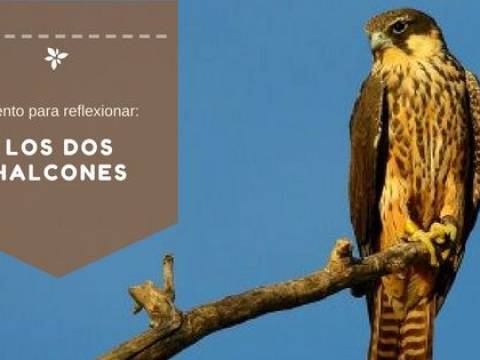 ""Reflexion para Comenzar la Semana"