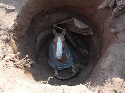 NO TE RINDAS JAMAS ANTE LAS CRITICAS O BURLAS Reflex!