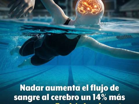 Fertilizante Cerebral