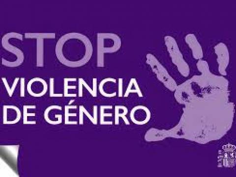VIOLENCIA DE GENERO. URGENCIAS LINEA 144