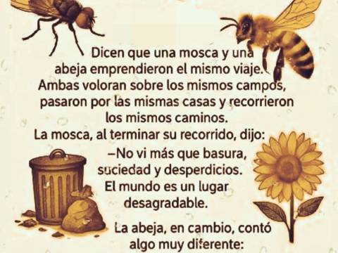 🤔 *Volver de Donde Venimos*Parabola