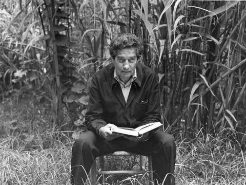 "MEDIODIA" Octavio Paz