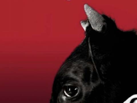 ¿Alguien por acá leyó "Cadáver Exquisito