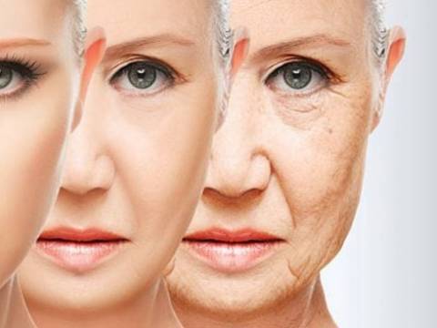 Por qué algunas personas envejecen más rápido?