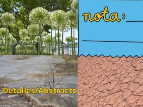 De Fotografía. Detalles y abstracto.