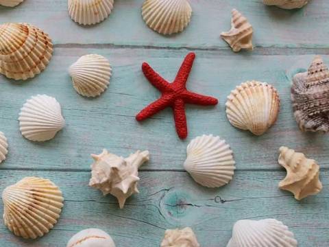 Cuándo Nunca es Tarde para ser Felices