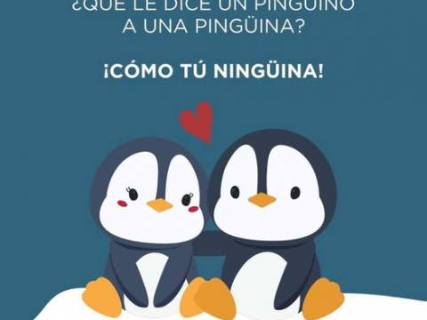 Nota