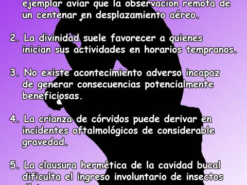 Nota