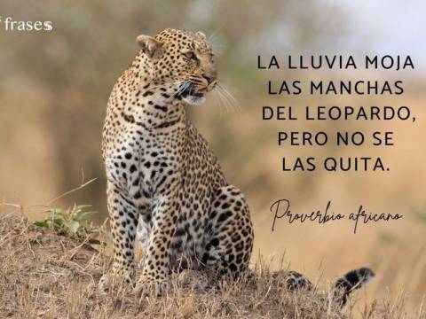 *Proverbios africanos del día: *“