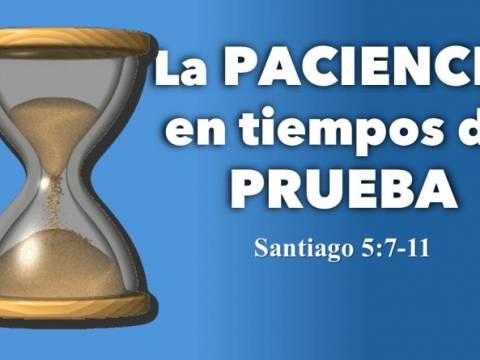 La Mejor Cosecha Proviene de la Paciencia Prov Japones