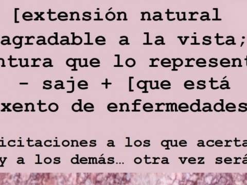 Nota
