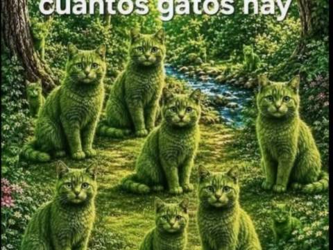 Nota