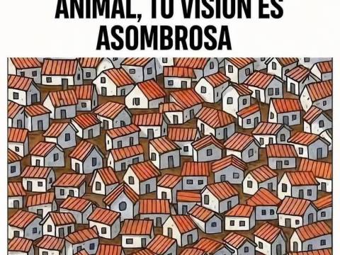 Nota
