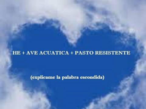Nota