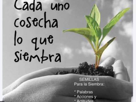 La Mejor Cosecha es la q Proviene de la Paciencia(Pr.Japones