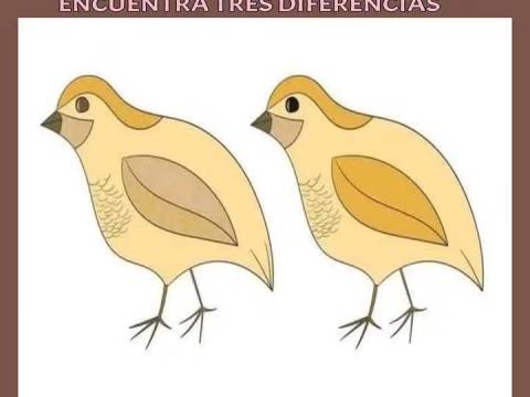 Nota