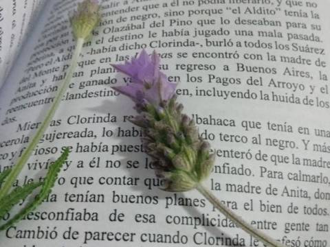 Nota