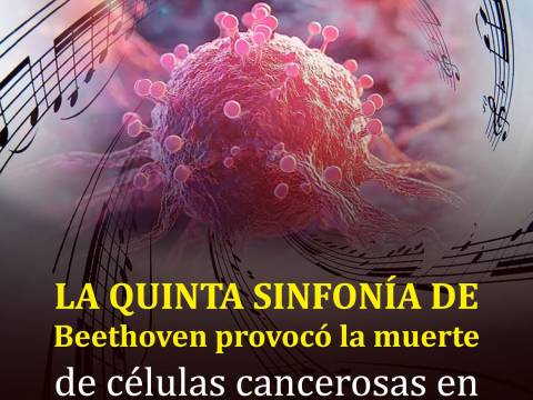 Nota