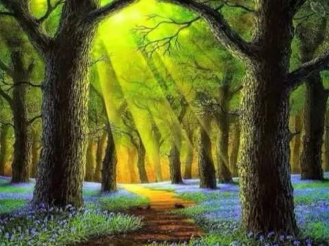El bosque de nuestras vidas