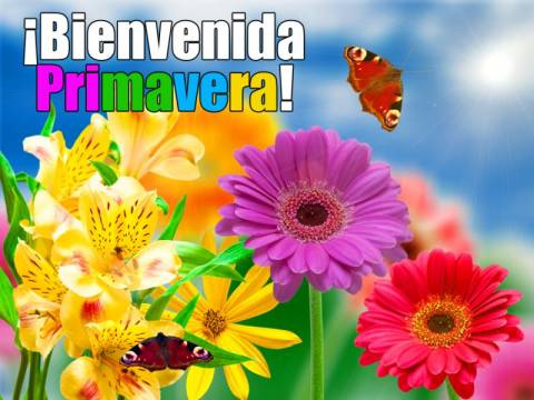 Nota