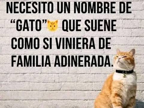 Nota