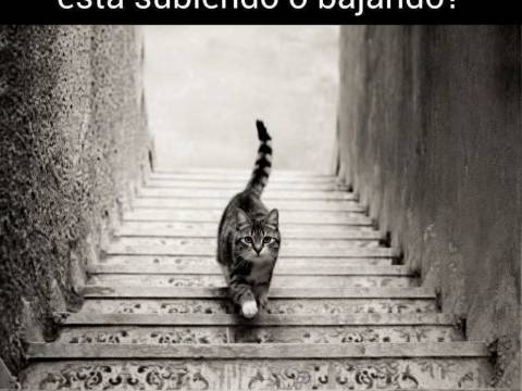 Nota