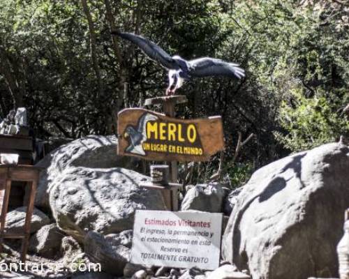 El Aguila y la presa... :Encuentro Grupal REUNION EN MERLO _ SAN LUIS