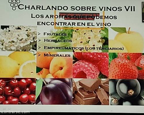 21451 9 Charlando Sobre Vinos VII