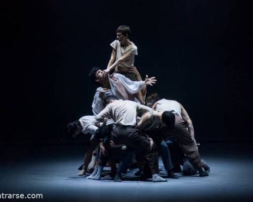 31177 13 Ballet Contemporáneo del Teatro San Martín - Duggan + Berrueta - Los gestos de la sal - El eco de las manos 