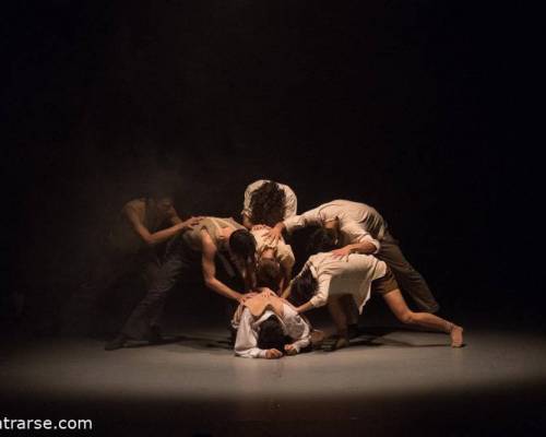 31177 14 Ballet Contemporáneo del Teatro San Martín - Duggan + Berrueta - Los gestos de la sal - El eco de las manos 