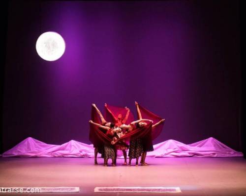 31177 4 Ballet Contemporáneo del Teatro San Martín - Duggan + Berrueta - Los gestos de la sal - El eco de las manos 