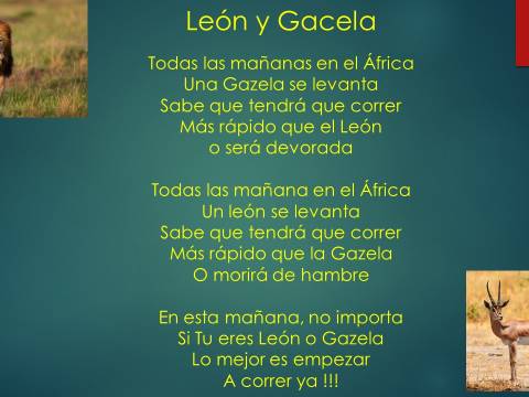 REFLEXIONES - León y Gazela