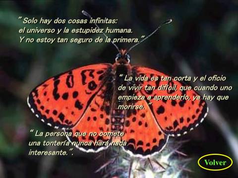 REFLEXIONES - Mariposas...