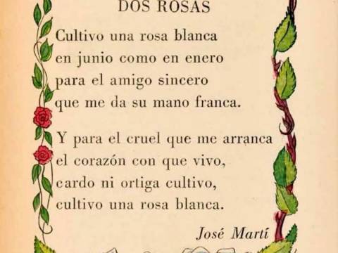 DOS ROSAS BLANCAS