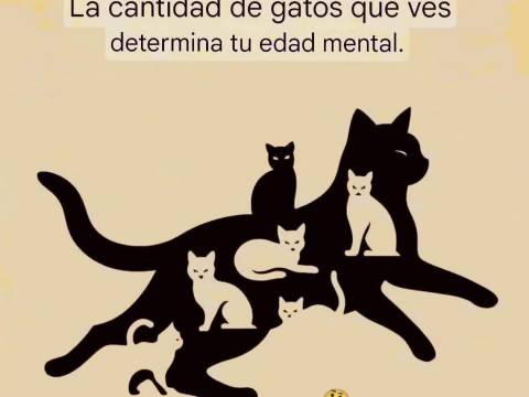 ¿Jugamos? ¿Jugamos?