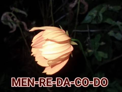 ¿Jugamos? ¿Jugamos?