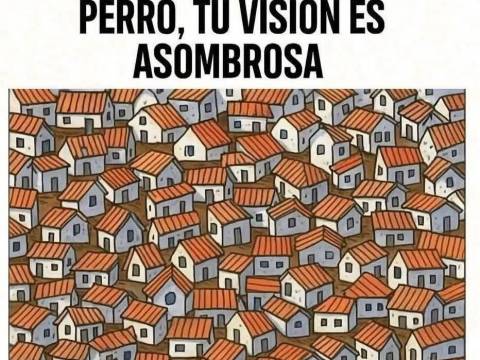 ¿Jugamos? ¿Jugamos?