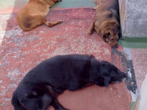 No es nada original pero ¡Feliz 2026! No es nada original pero ¡Feliz 2026!