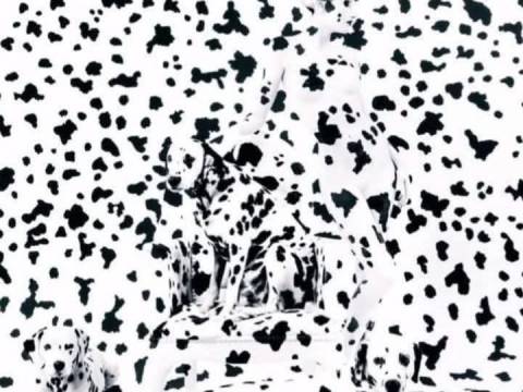 ¿Jugamos? ¿Jugamos?