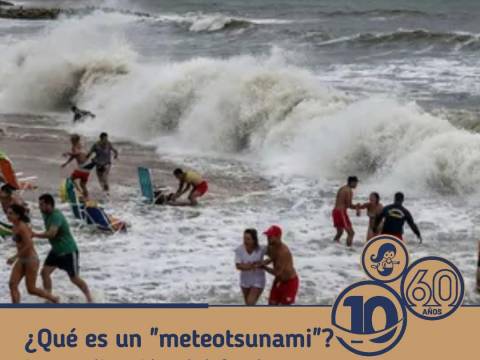 LA OLA MARPLATENSE LA OLA MARPLATENSE