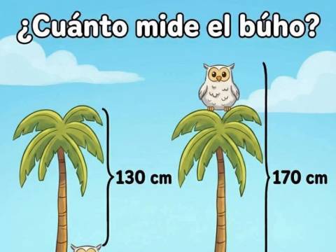 ¿Jugamos? ¿Jugamos?