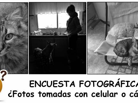 ENCUESTA FOTOGRÁFICA ENCUESTA FOTOGRÁFICA
