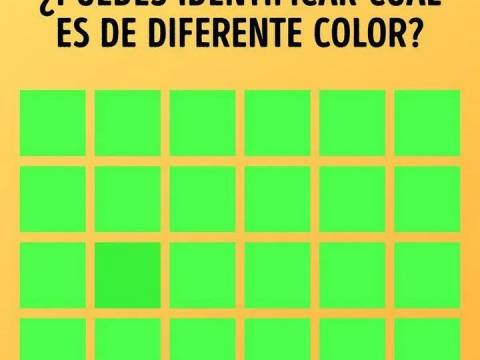 ¿Jugamos? ¿Jugamos?