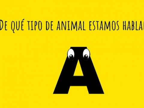 que animal es? que animal es?