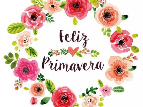 ***Llego....Llego**(