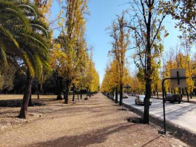 Encuentro Mendoza - Parque San Martín 
Caminemos con Inten Encuentro Mendoza - Parque San Martín 
Caminemos con Inten